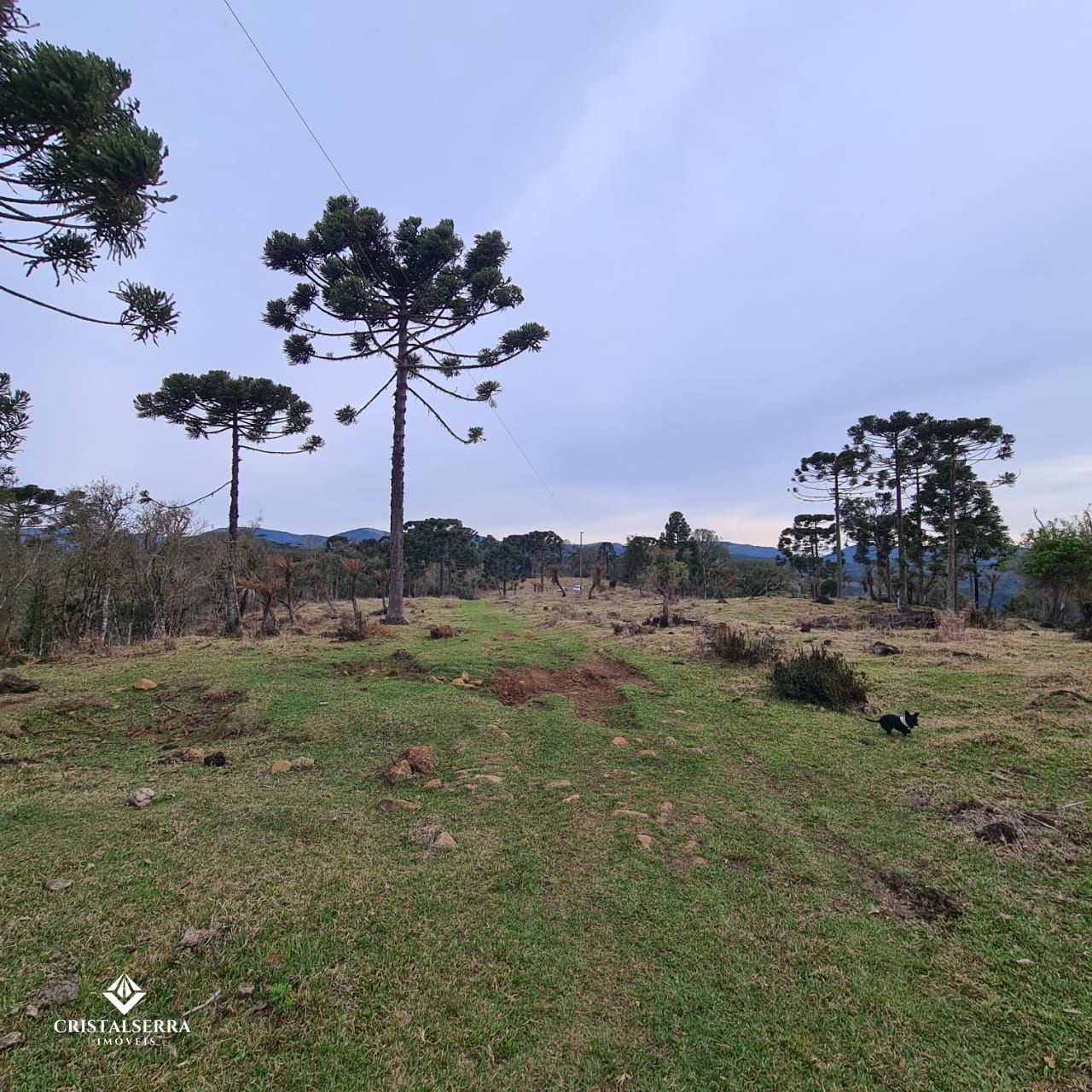 Lote/Terreno de 20000m² no bairro Zona Rural, em Urubici | Eu Corretor