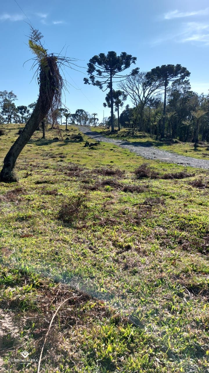 Lote/Terreno de 20000m² no bairro Zona Rural, em Urubici | Eu Corretor