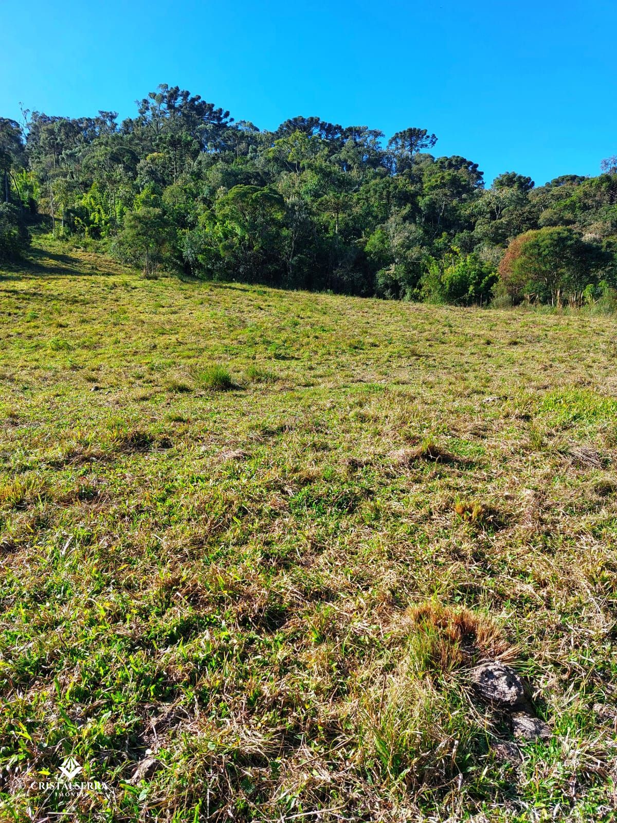 Lote/Terreno de 20000m² no bairro Zona Rural, em Urubici | Eu Corretor