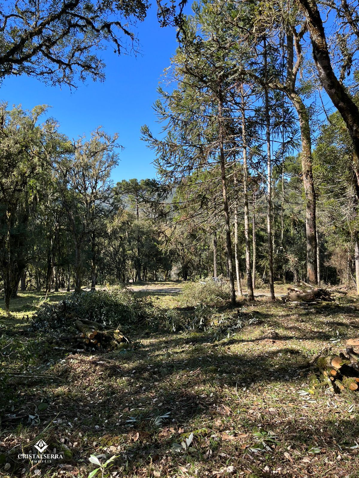 Lote/Terreno de 20000m² no bairro Baiano, em Urubici | Eu Corretor