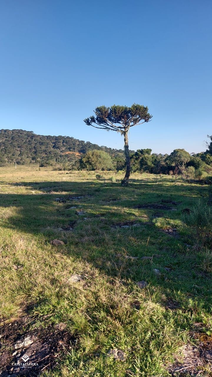 Lote/Terreno de 20000m² no bairro Zona Rural, em Urubici | Eu Corretor