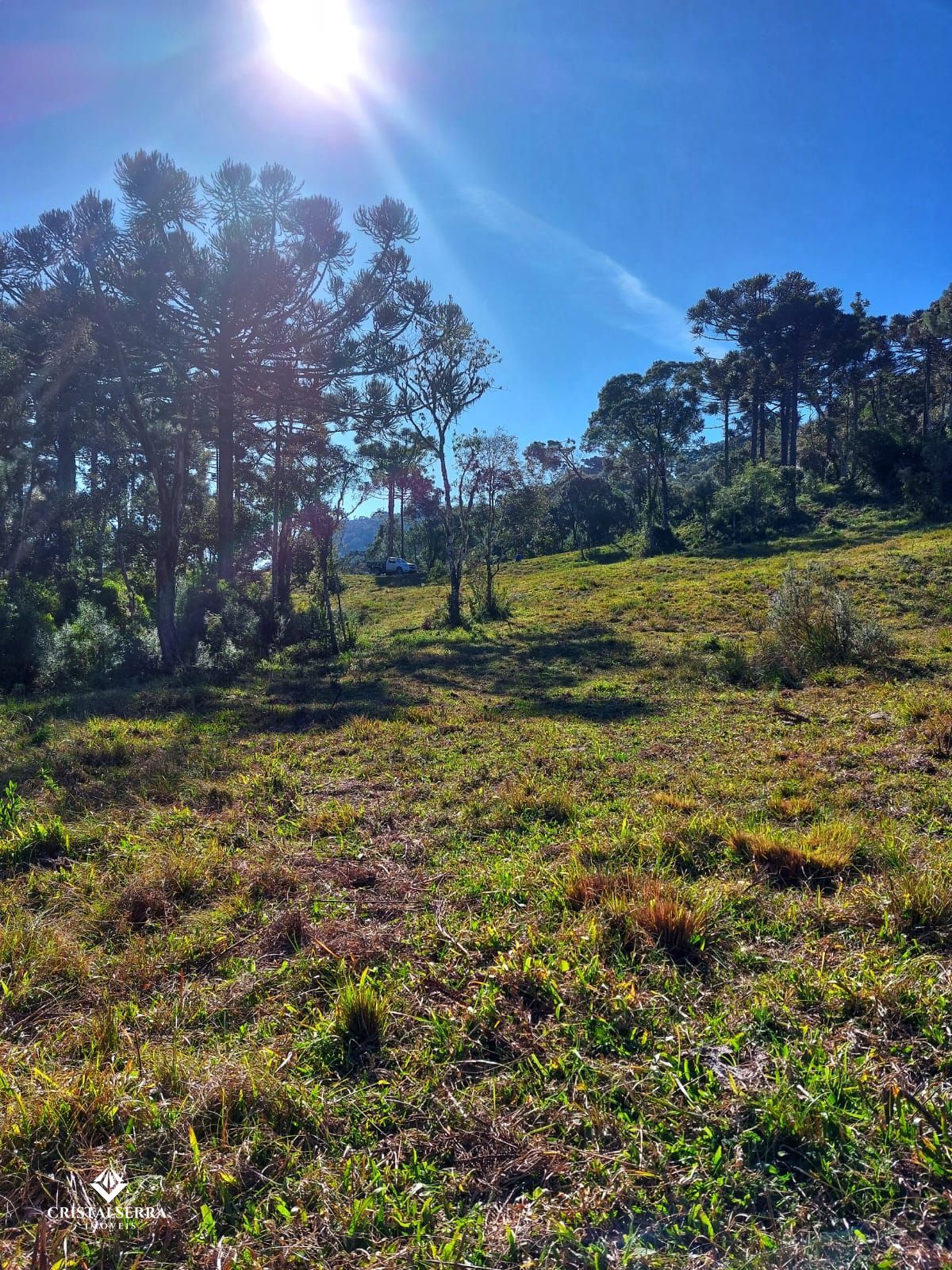 Lote/Terreno de 20000m² no bairro Zona Rural, em Urubici | Eu Corretor