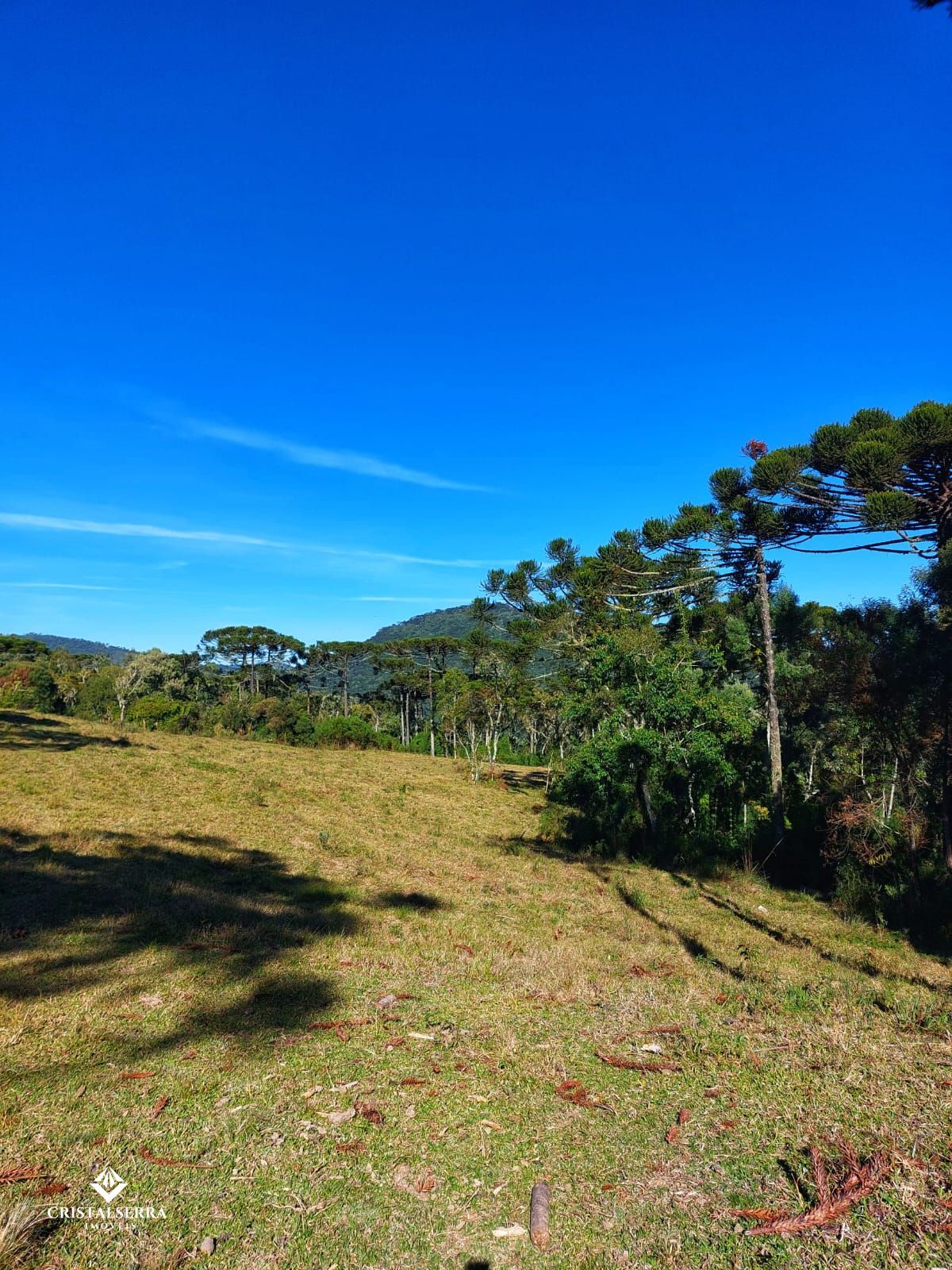 Lote/Terreno de 20000m² no bairro Zona Rural, em Urubici | Eu Corretor