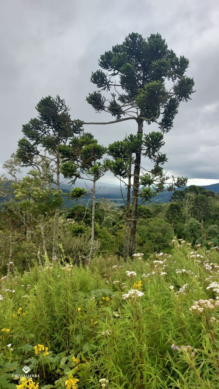 Lote/Terreno de 36000m² no bairro Zona Rural, em Urubici | Eu Corretor