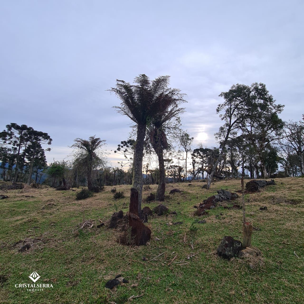 Lote/Terreno de 20000m² no bairro Zona Rural, em Urubici | Eu Corretor