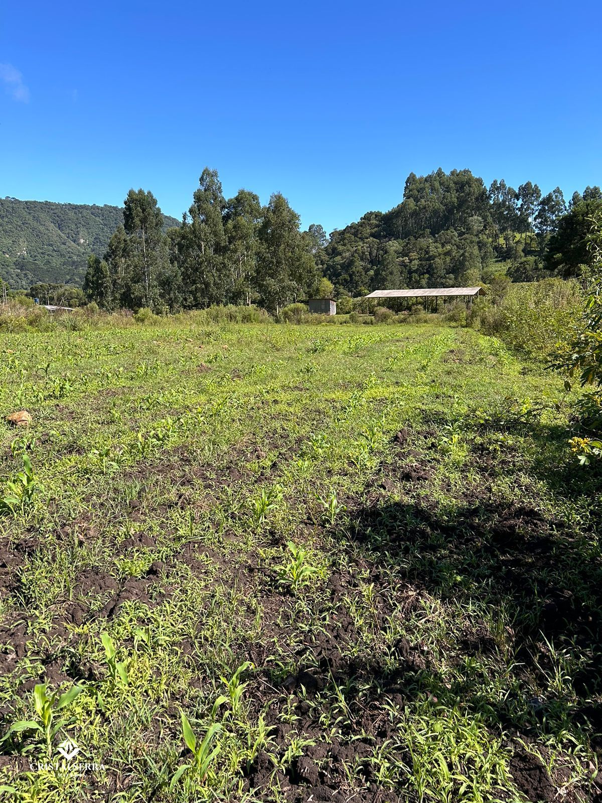 Lote/Terreno Comercial de 46000m² no bairro Zona Rural, em Urubici | Eu Corretor