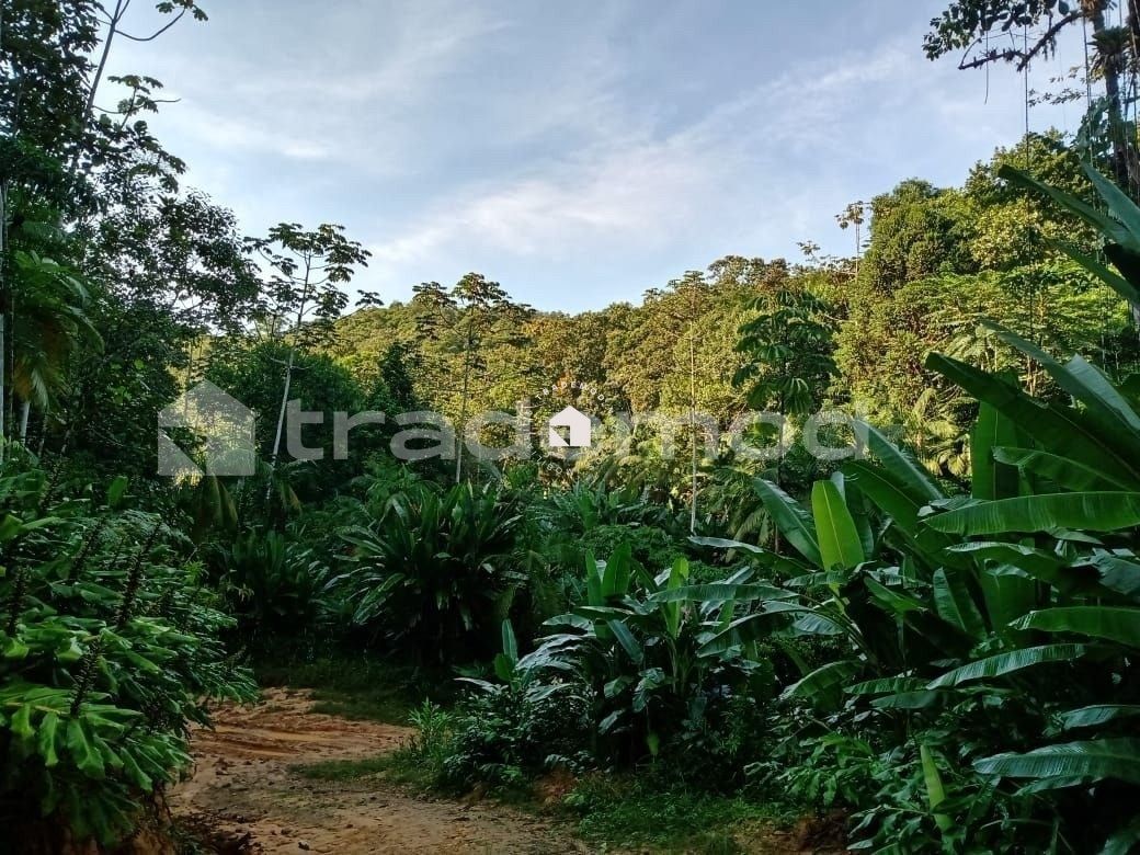 Terreno à venda, 20958m² - Foto 14