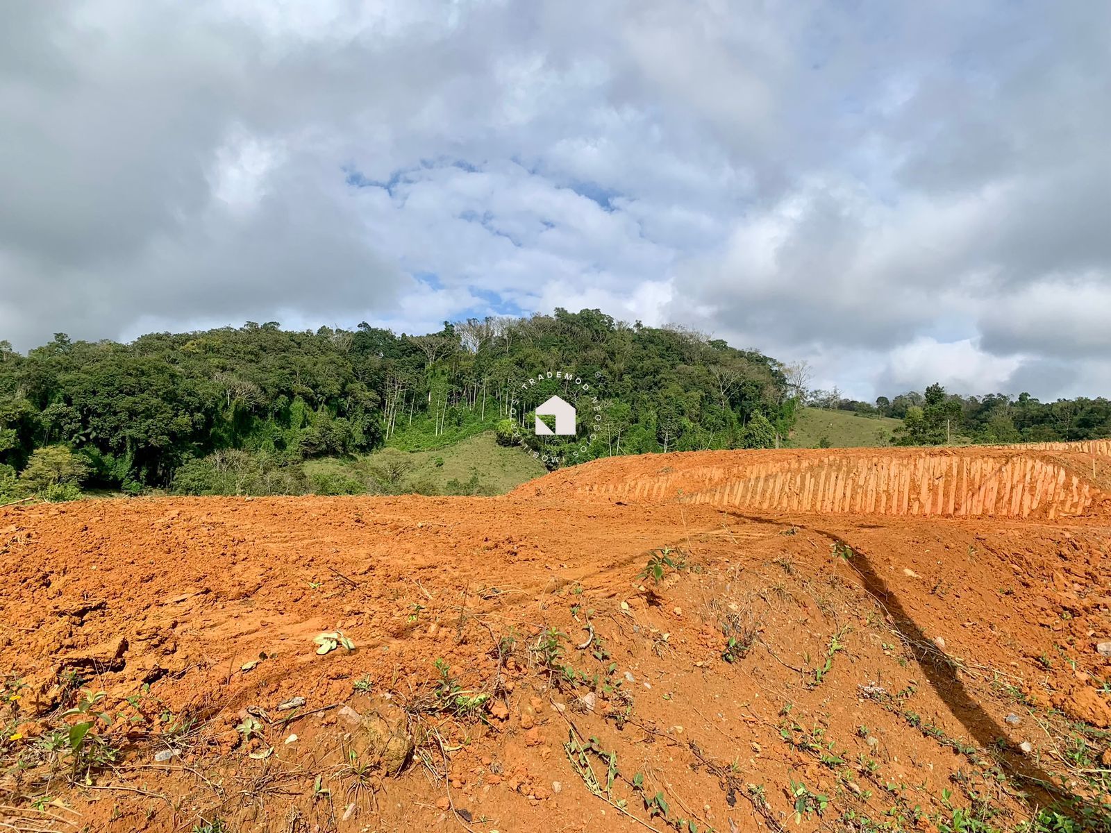 Terreno à venda, 3005m² - Foto 4