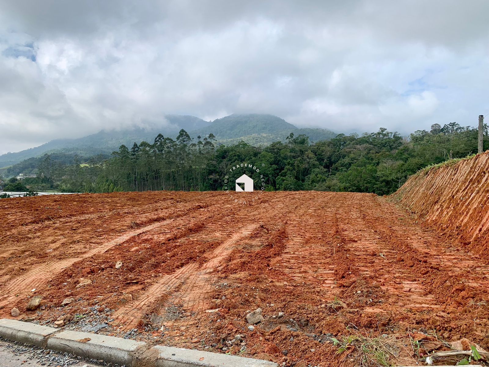 Terreno à venda, 3005m² - Foto 6