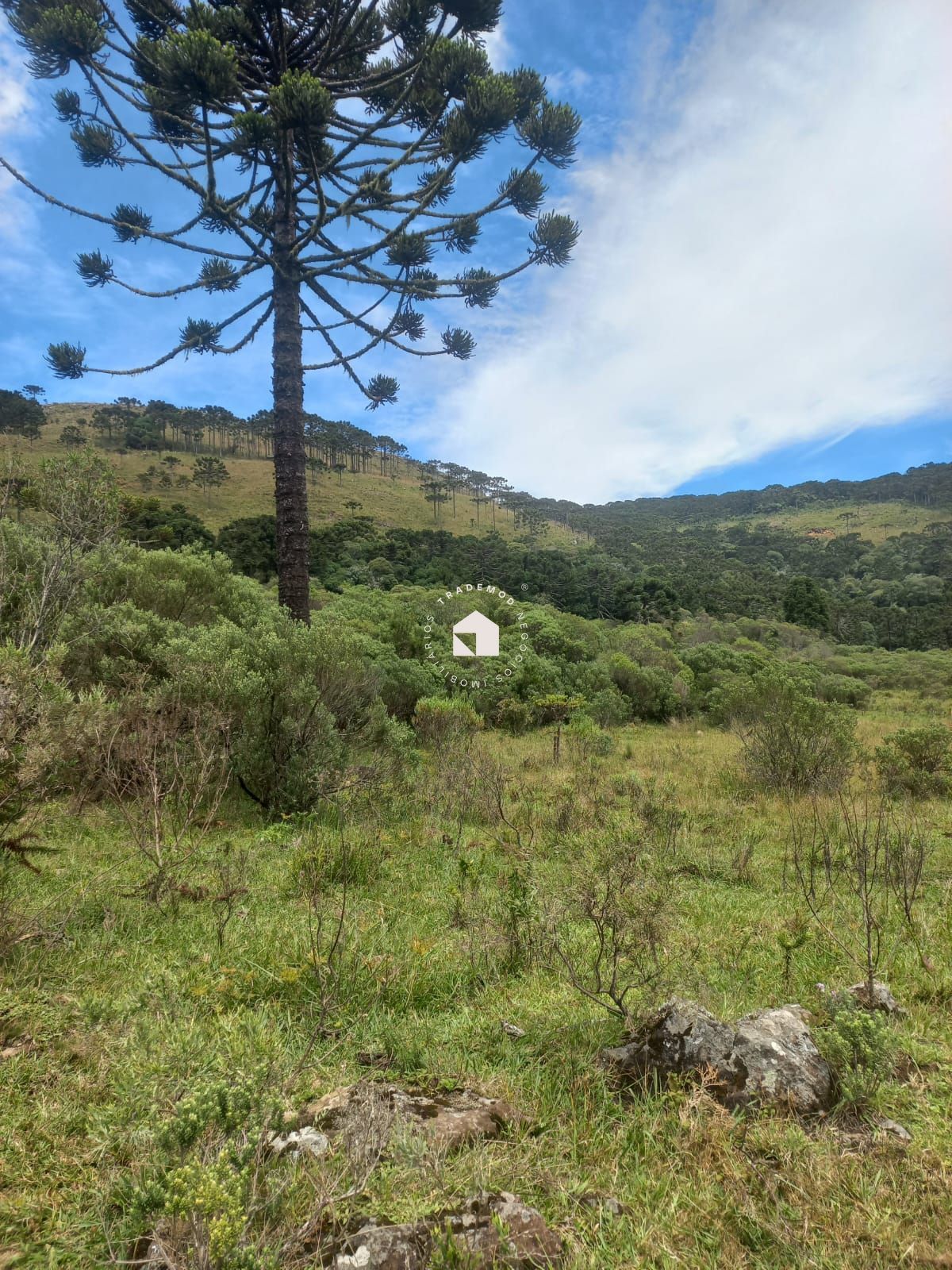 Terreno à venda, 5780000m² - Foto 11