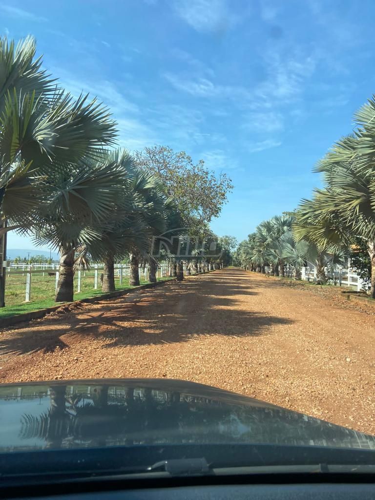 2.600 ha em Minas Gerais