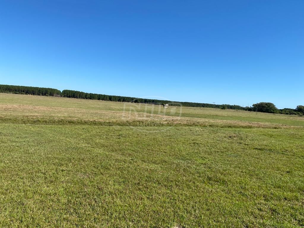 240 hectares em Palmares do Sul-RS