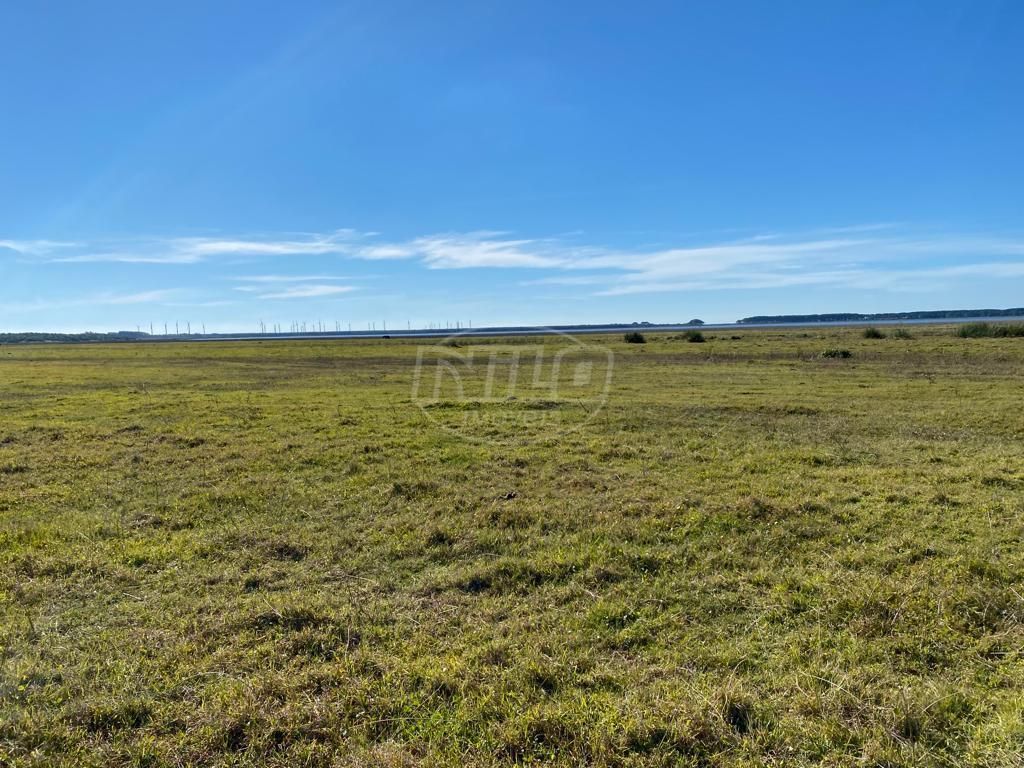 240 hectares em Palmares do Sul-RS