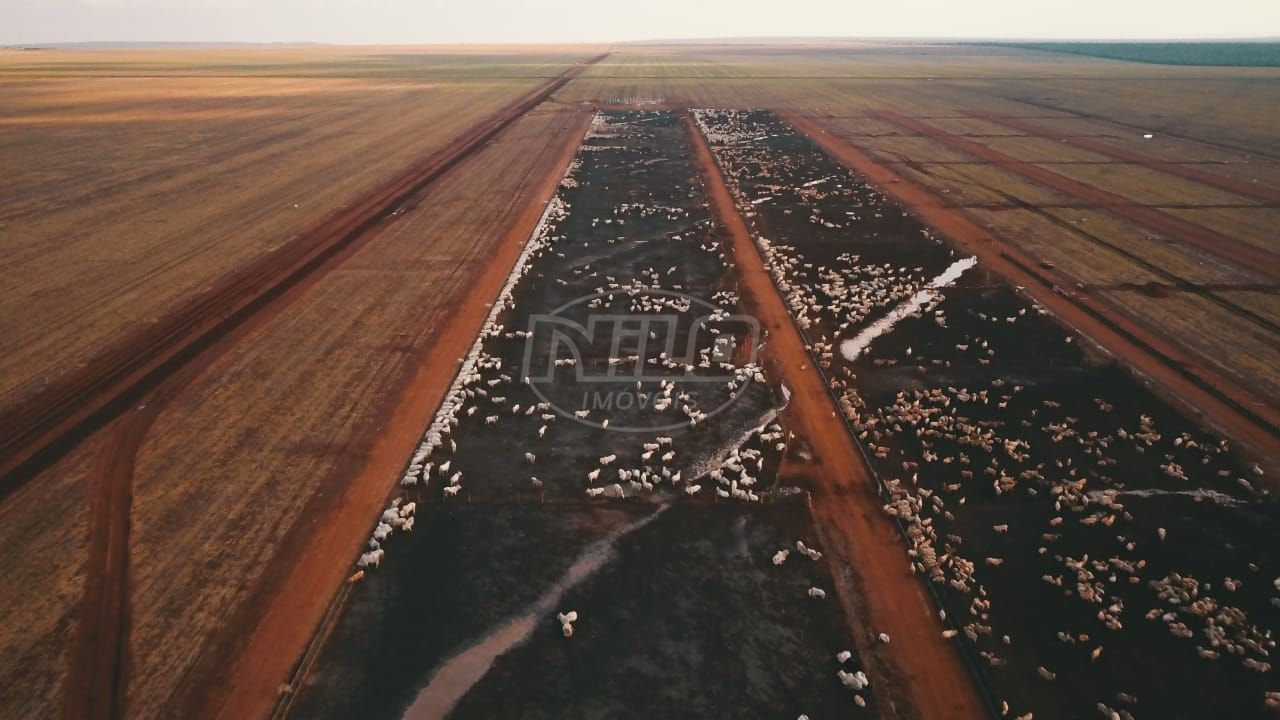 Fazendão no Mato Grosso!