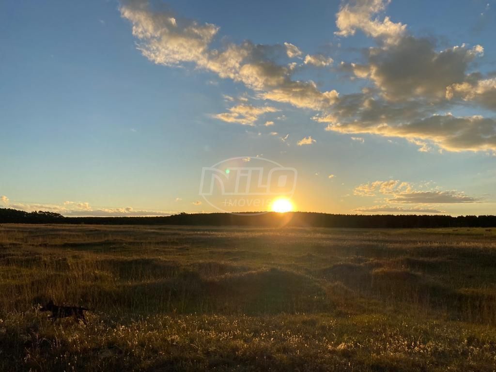 240 hectares em Palmares do Sul-RS