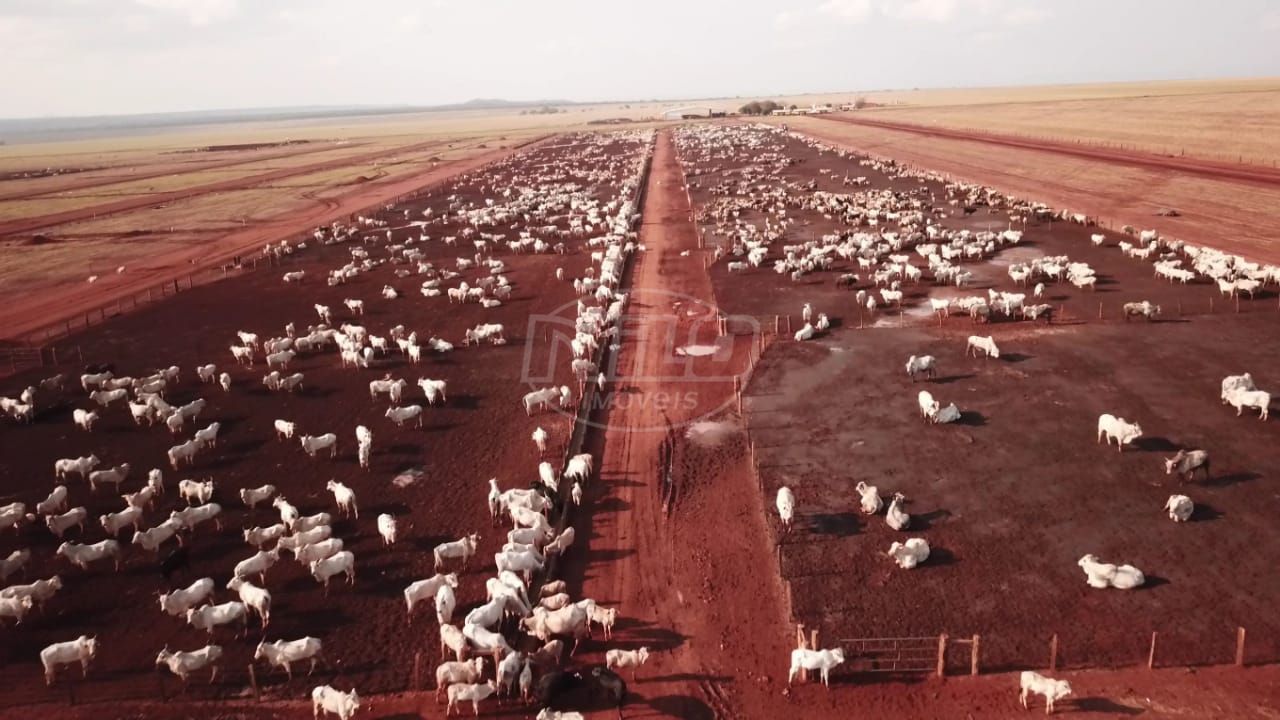 Fazendão no Mato Grosso!