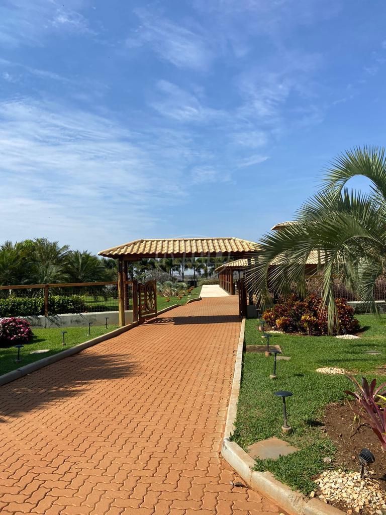 2.600 ha em Minas Gerais