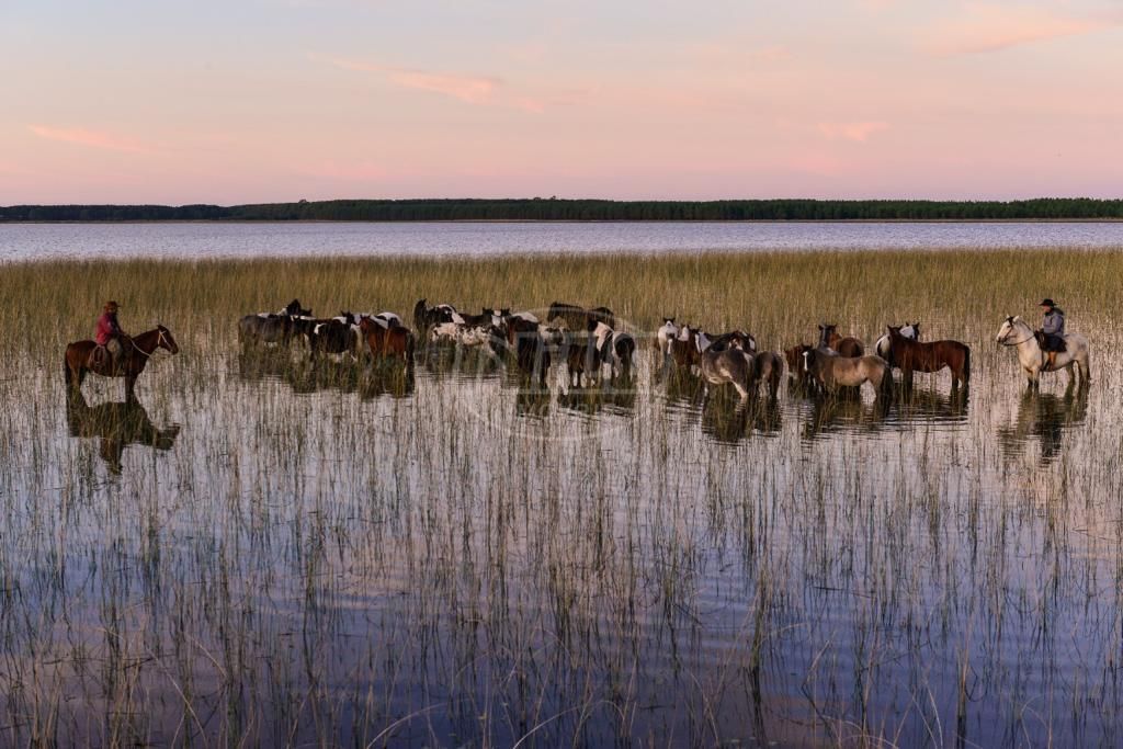 240 hectares em Palmares do Sul-RS