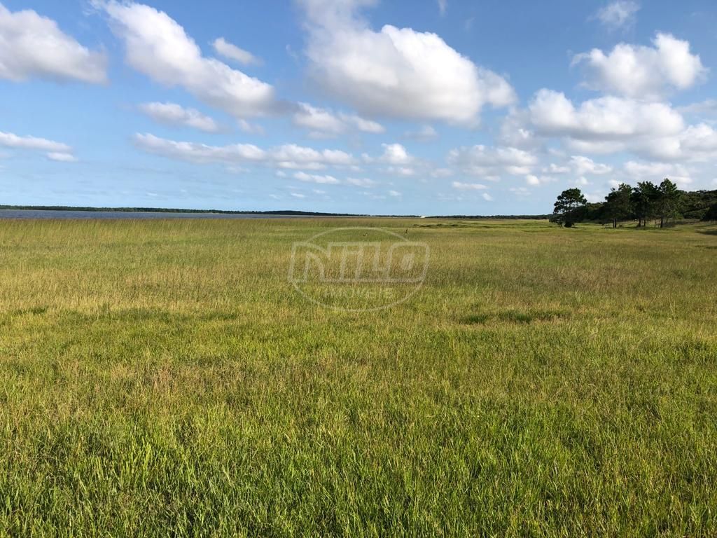 240 hectares em Palmares do Sul-RS