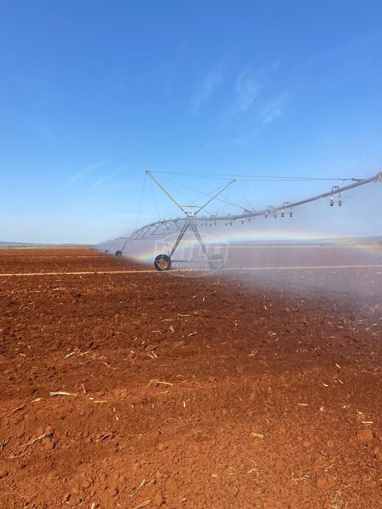 2.600 ha em Minas Gerais