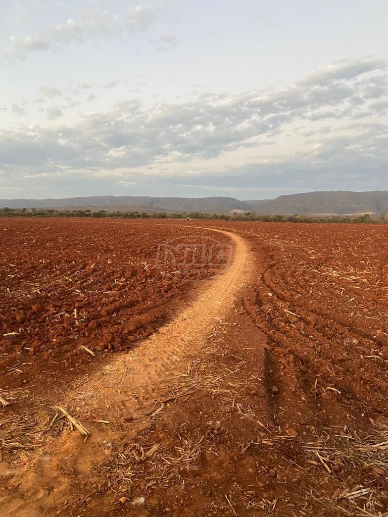 2.600 ha em Minas Gerais