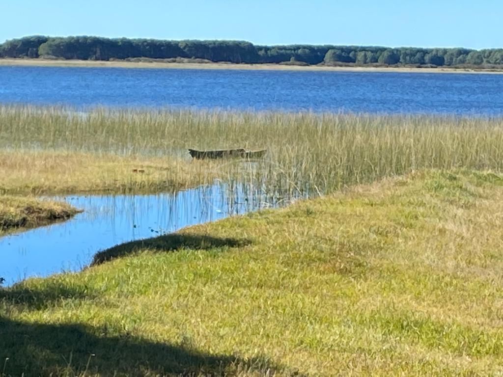240 hectares em Palmares do Sul-RS