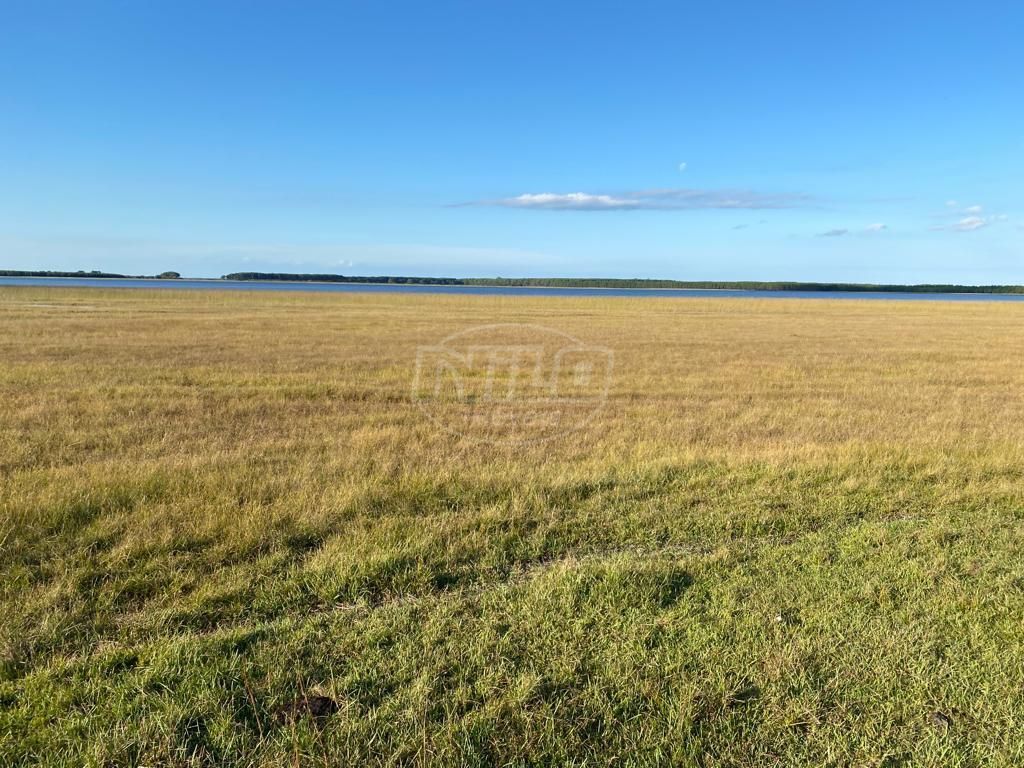 240 hectares em Palmares do Sul-RS