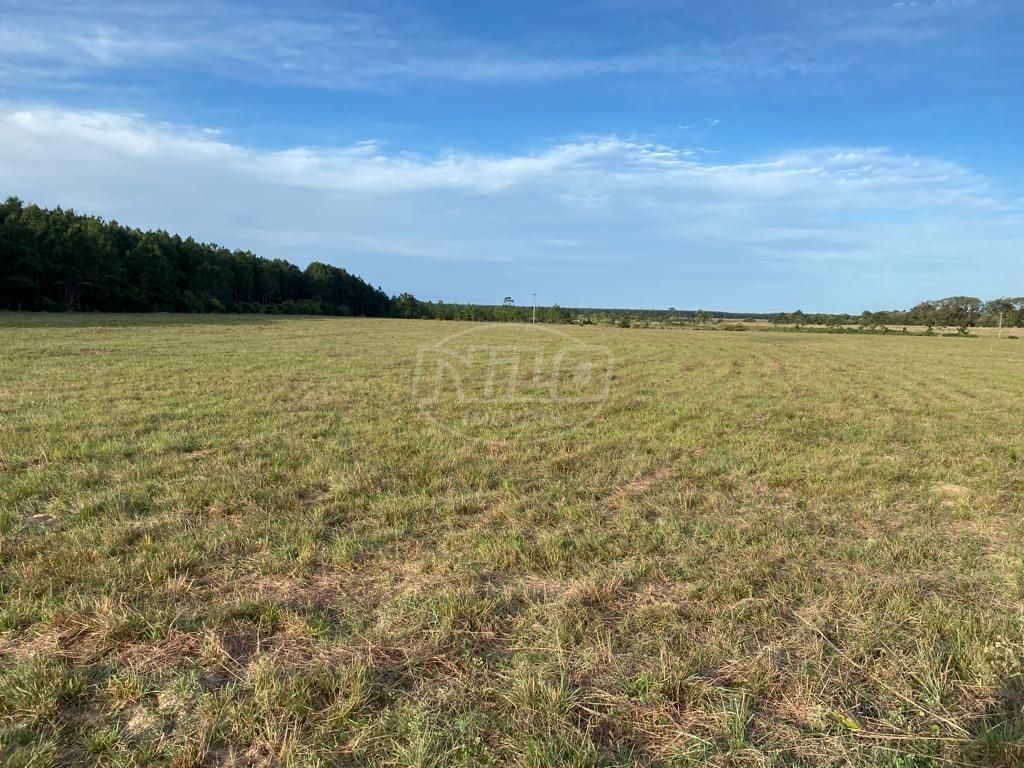 240 hectares em Palmares do Sul-RS