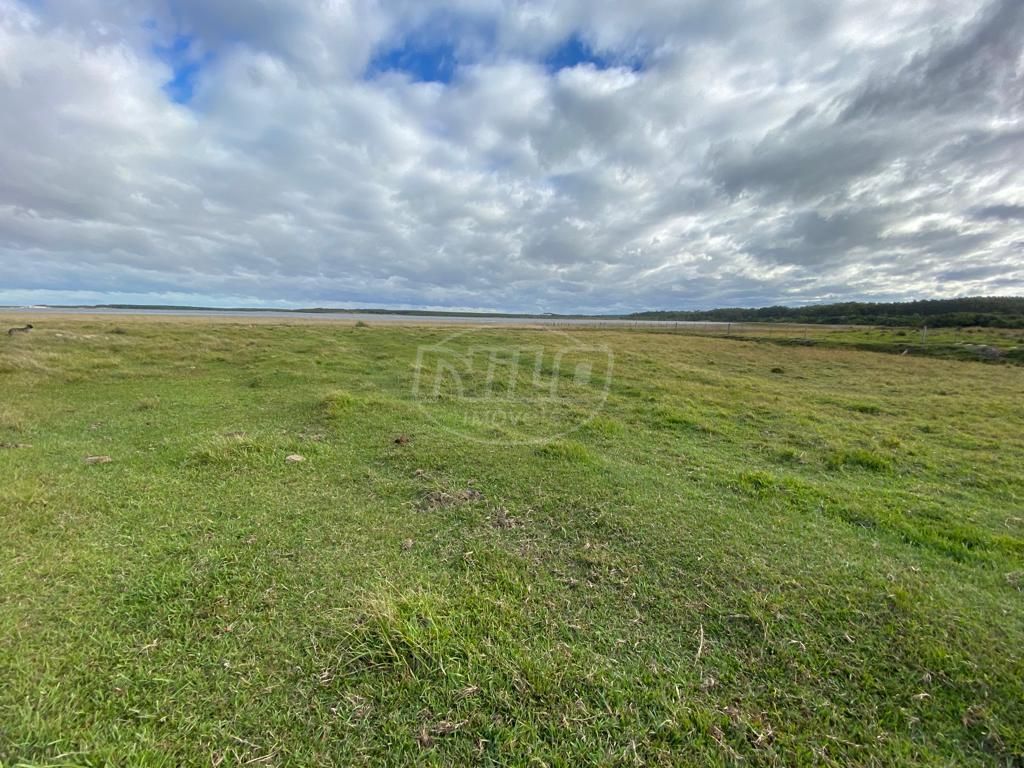 240 hectares em Palmares do Sul-RS