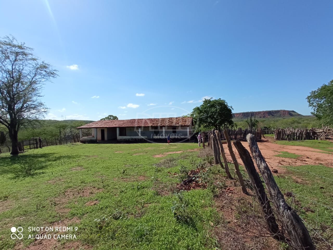2675 hectares no Piauí