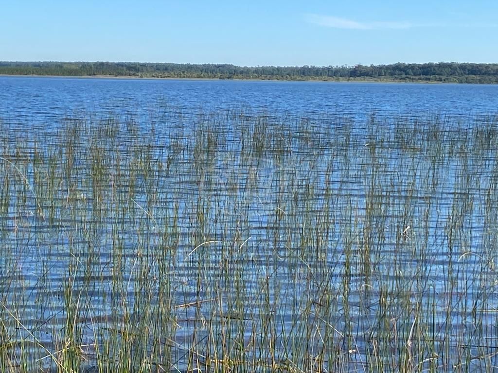 240 hectares em Palmares do Sul-RS