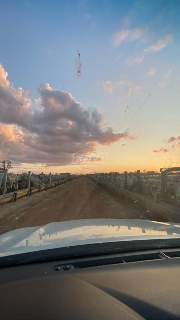 2.600 ha em Minas Gerais