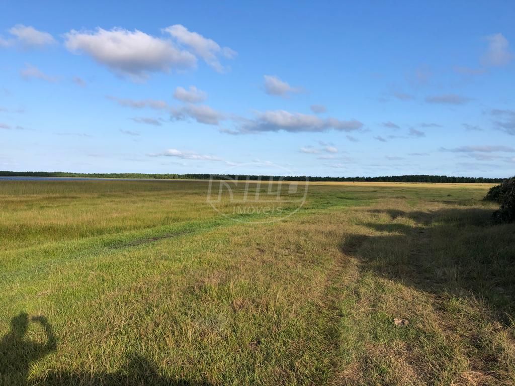 240 hectares em Palmares do Sul-RS