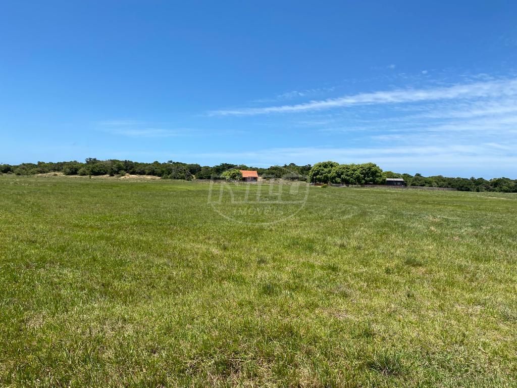240 hectares em Palmares do Sul-RS
