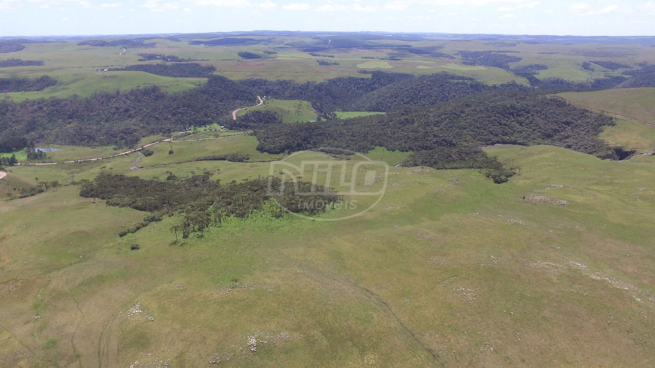 313 hectares em São José dos Ausentes
