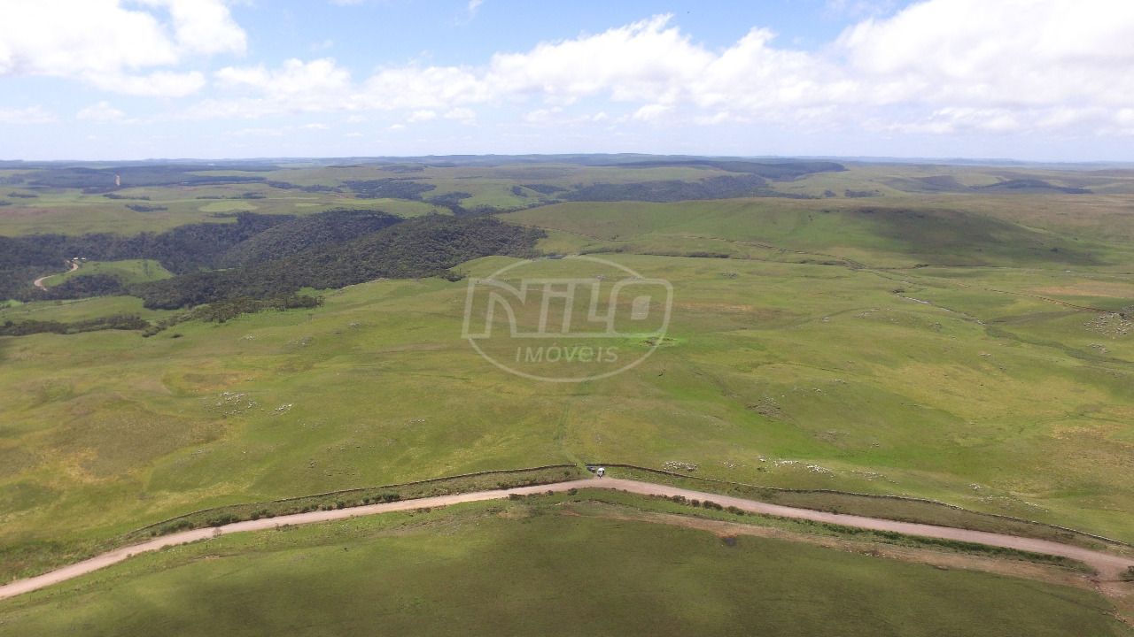 313 hectares em São José dos Ausentes