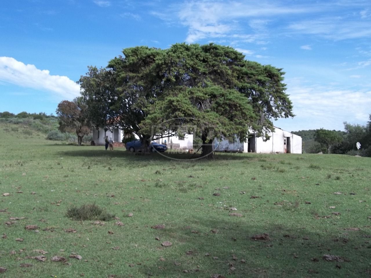 Área para pecuária.