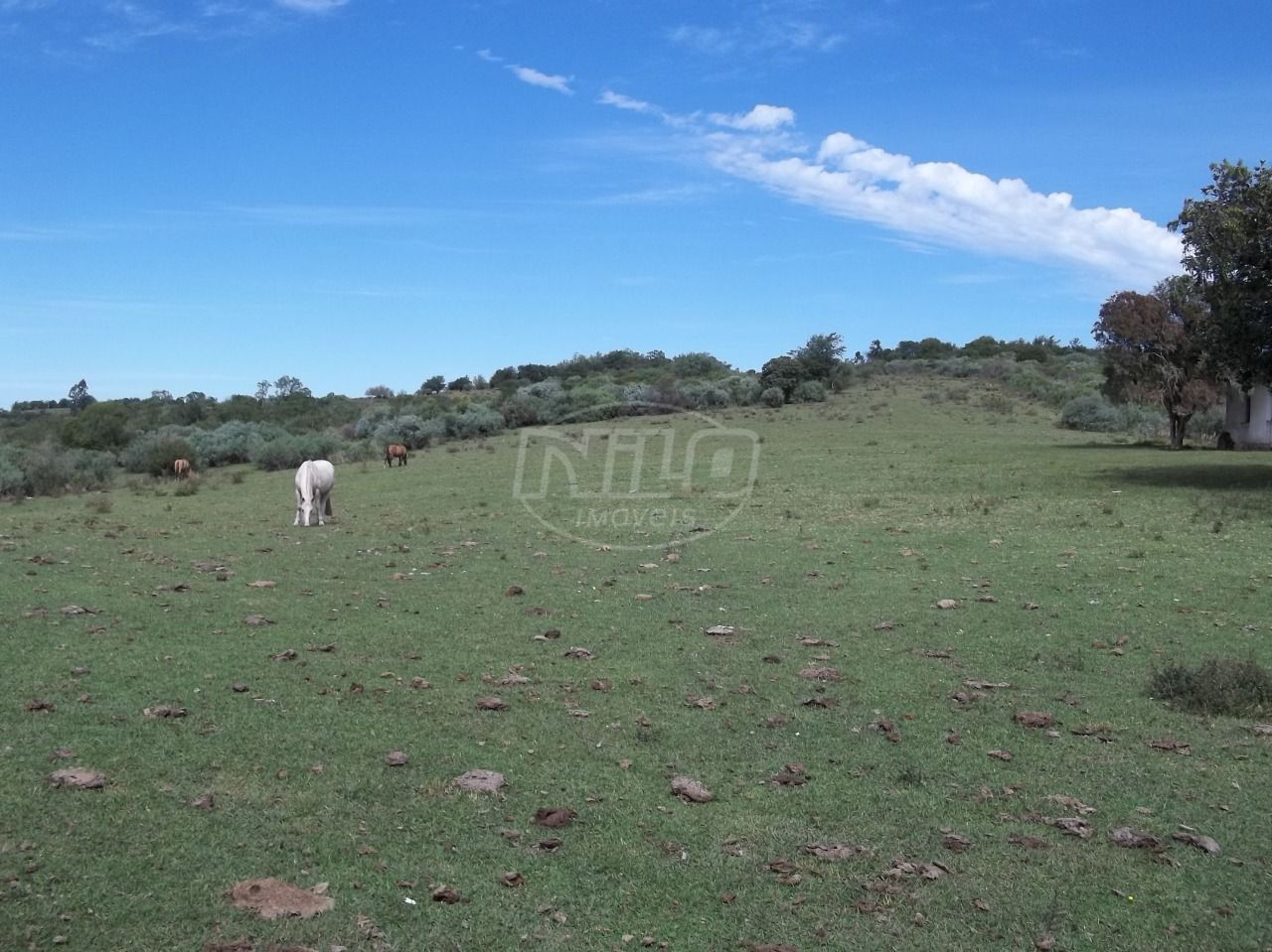 Área para pecuária.