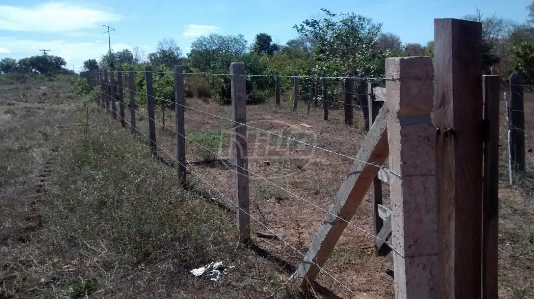 2675 hectares no Piauí