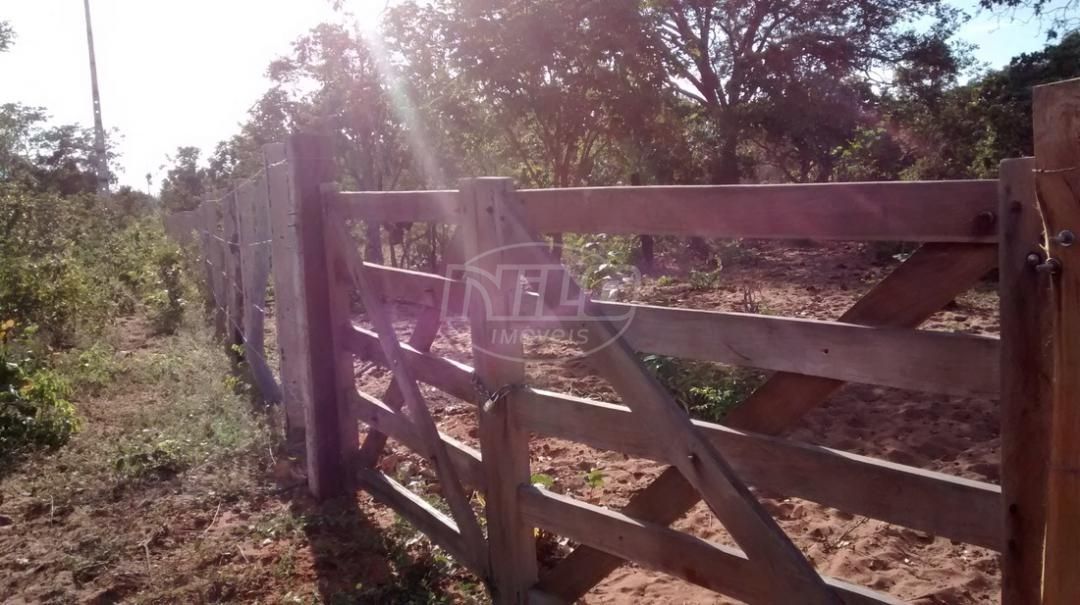 2675 hectares no Piauí