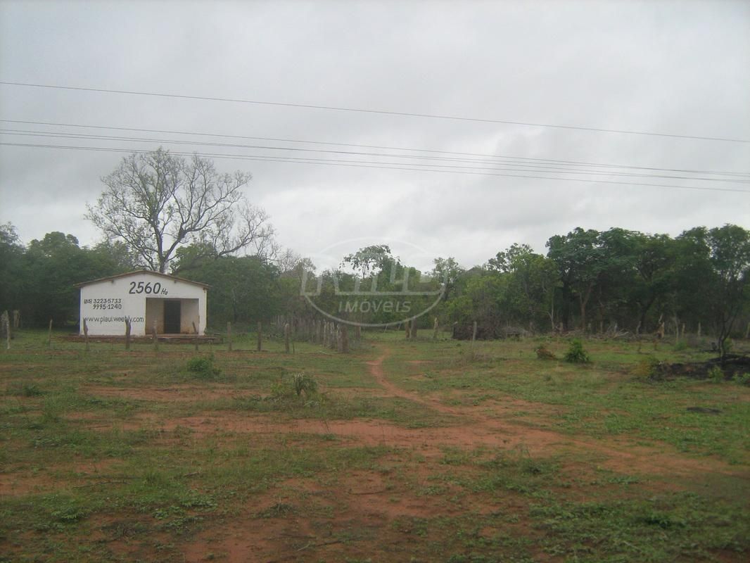 2675 hectares no Piauí