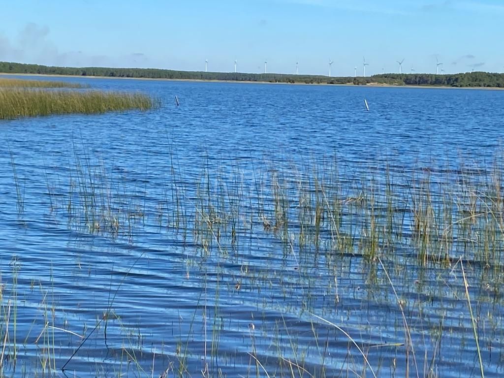 240 hectares em Palmares do Sul-RS