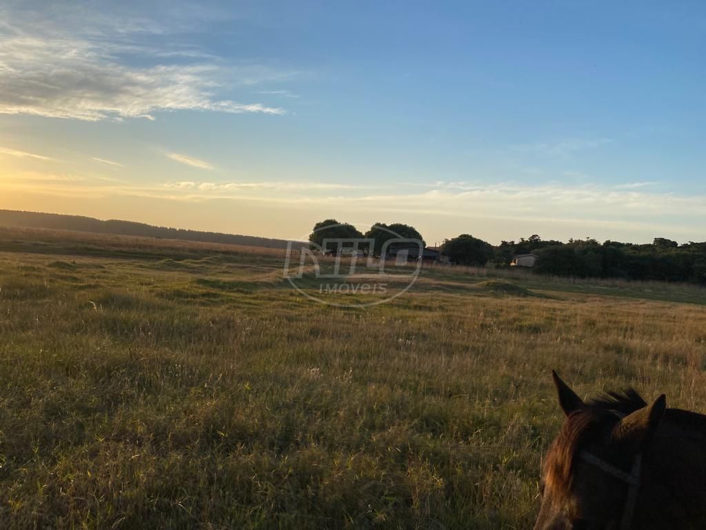 240 hectares em Palmares do Sul-RS