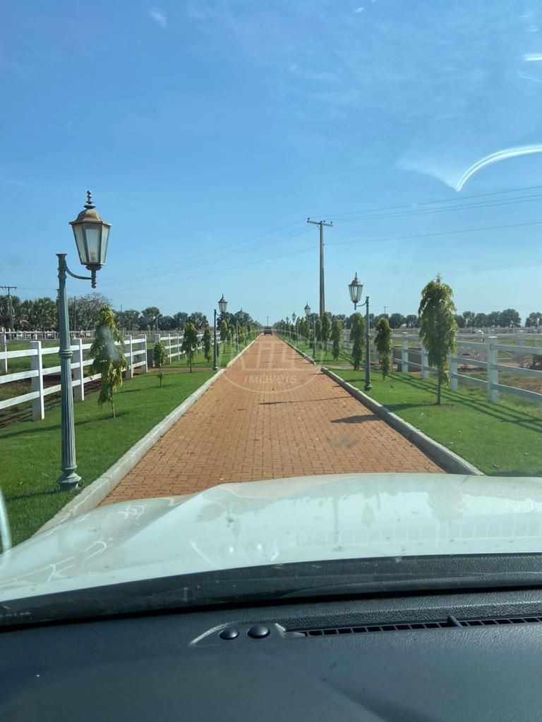 2.600 ha em Minas Gerais