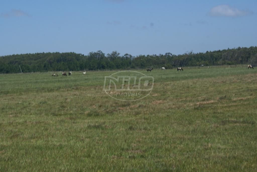 240 hectares em Palmares do Sul-RS