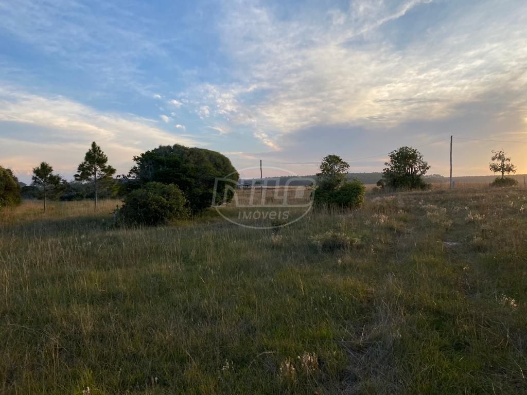 240 hectares em Palmares do Sul-RS