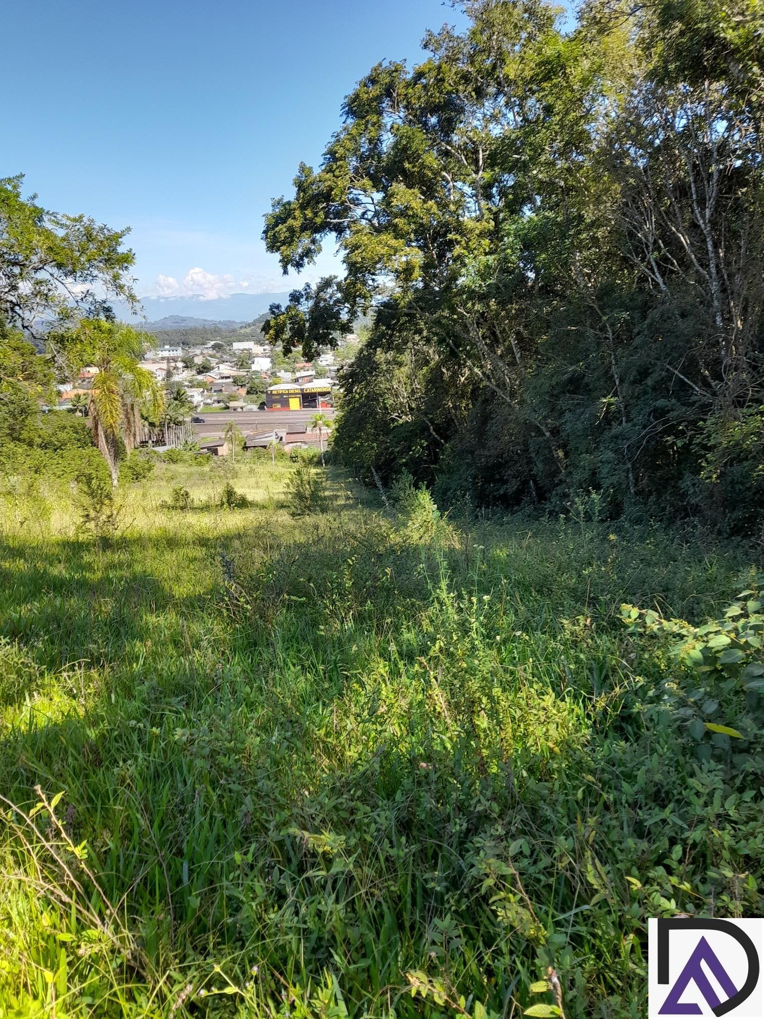 Fazenda à venda com 3 quartos, 100m² - Foto 18