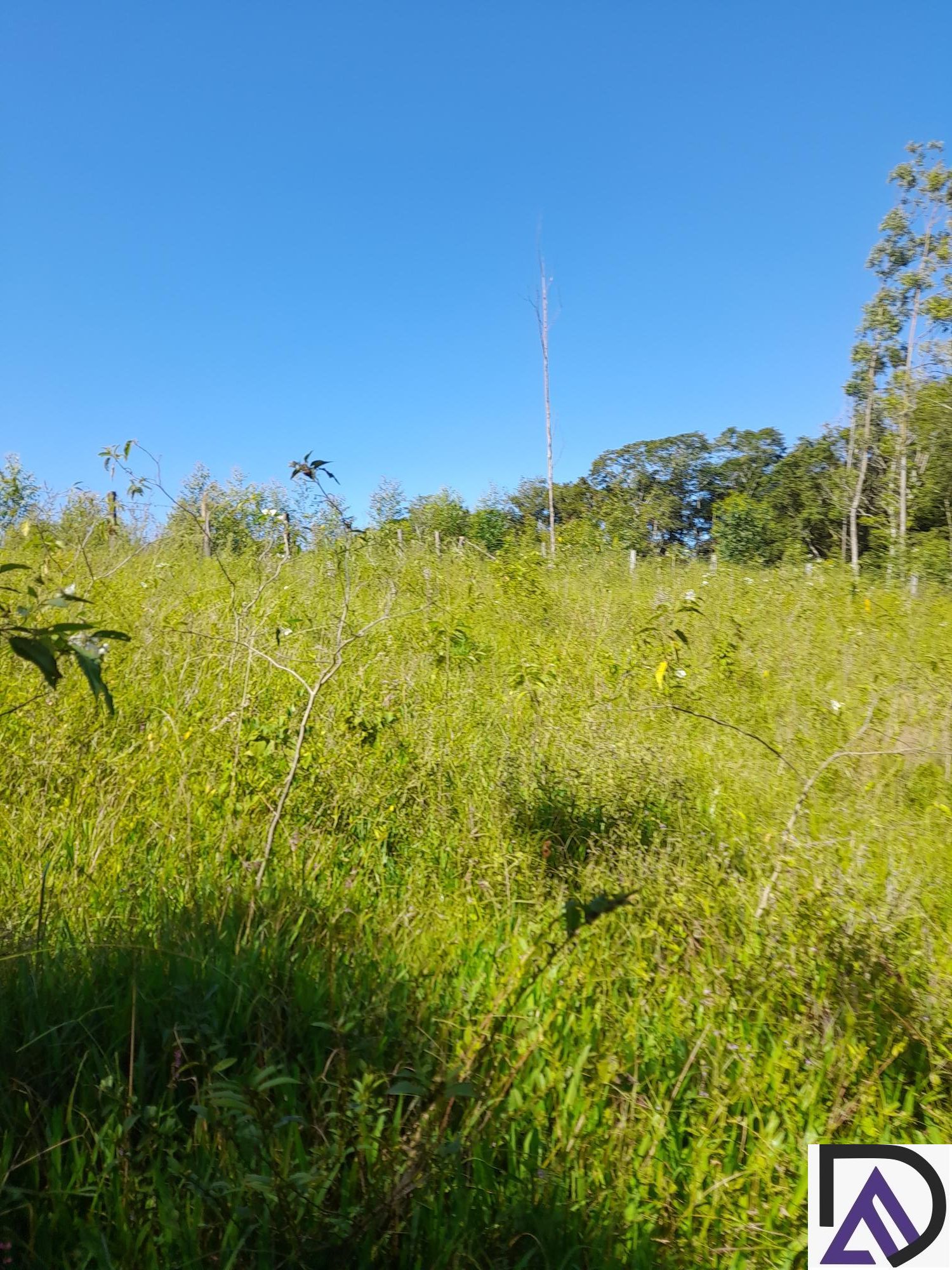 Fazenda à venda com 3 quartos, 100m² - Foto 14