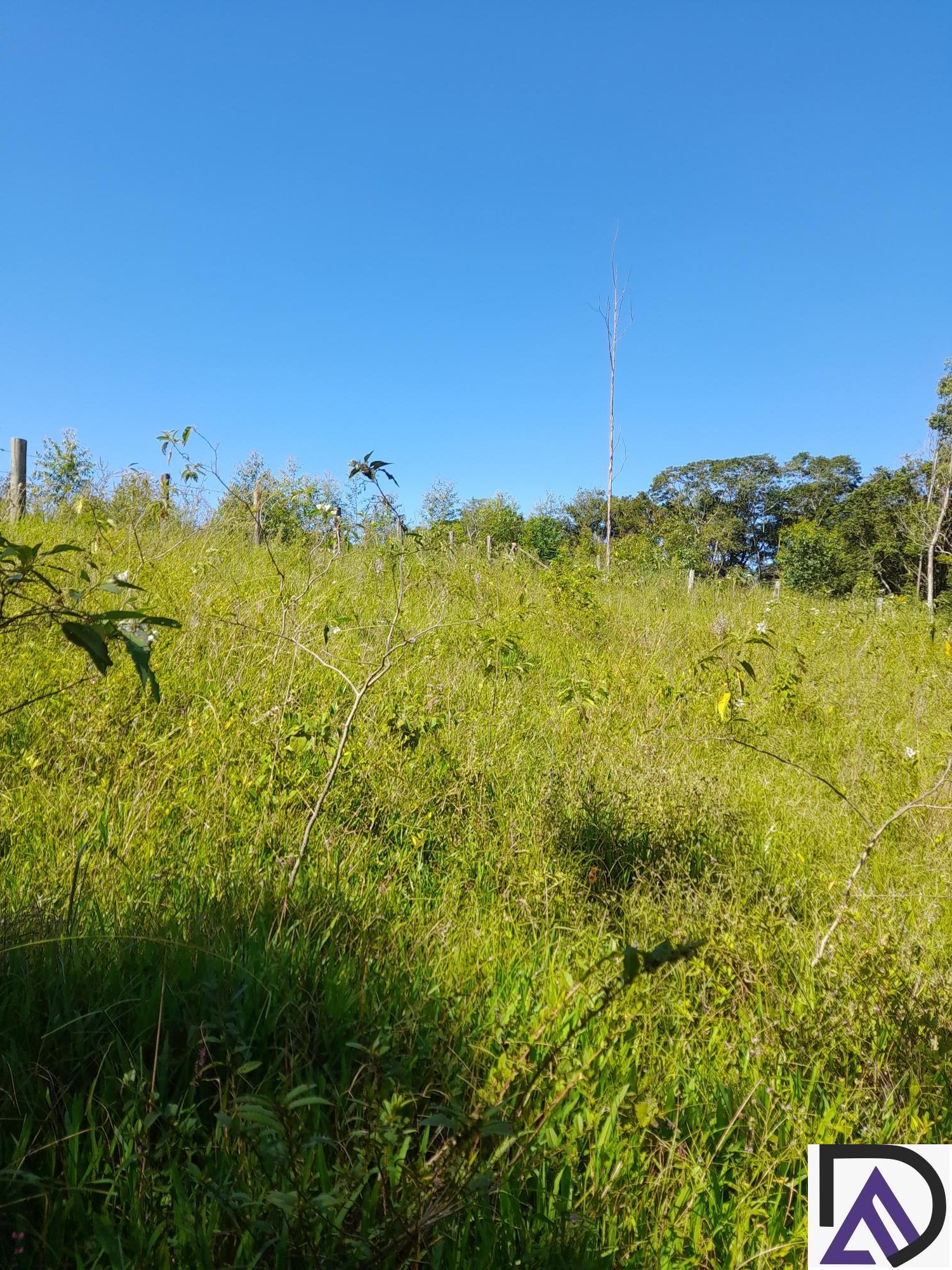 Fazenda à venda com 3 quartos, 100m² - Foto 13