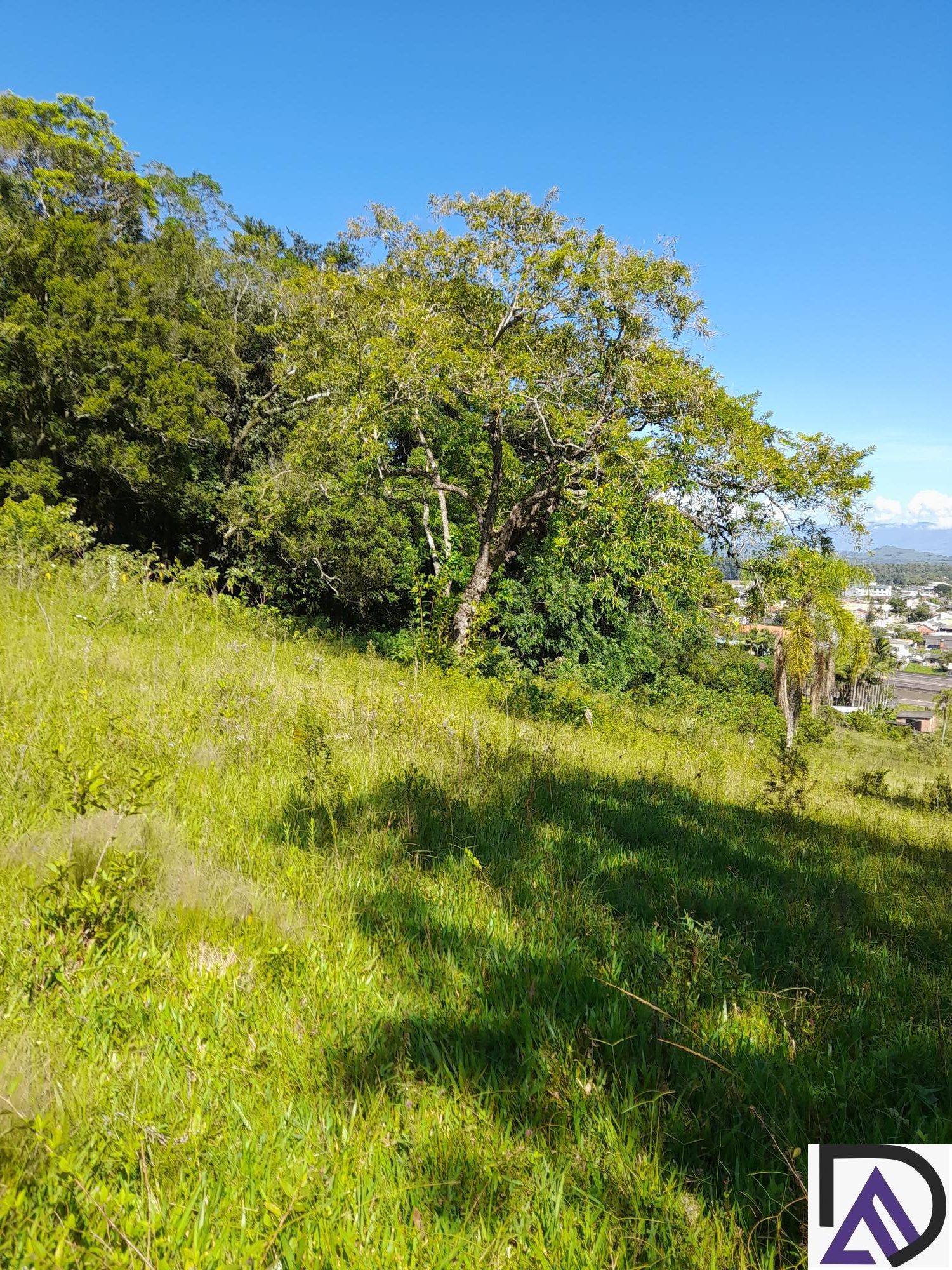 Fazenda à venda com 3 quartos, 100m² - Foto 9